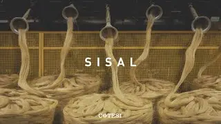 SISAL: The Sustainable Twine