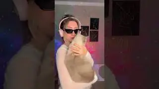 Dancing artist #dancevideo #catvideos #art