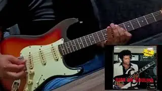 Meio Pau Meio Tijolo Aldo Sena 1982 ( Cover )