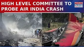 Ahmedabad Plane Crash: Aviation Ministry Forms High-Level Committee To Probe Air India Tragedy