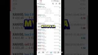 MYPIPS EA || GOLD SCALPER || #goldea #forex #trading