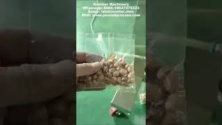 Automatic Peanut Scaling Vacuum Bag Packing Machine