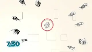 Behind the scenes with contact tracers tracking coronavirus | 7.30