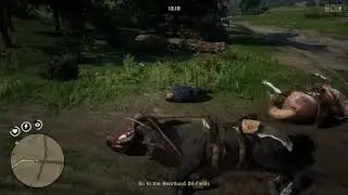 Online Shenanigans (Part 2): Sillier