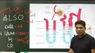Concentration of filtrate/Tricks/Learn/Mnemonics/👇Counter current ! Mechanism #class 11th💯