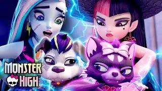 Frankie & Draculaura&rsquo;s Pets Get Caught By Humans?! | Monster High