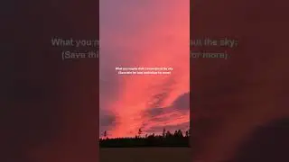 Tips on sky video shooting #naturevideography #videotutorial #phonevideography #forest