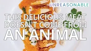 This Delicious Meat Doesn't Come From an Animal | Uma Valeti