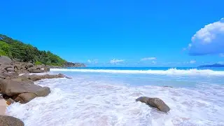 🏝 Pacific Island Paradise in Seychelles. Ocean 4K (12 HOURS)