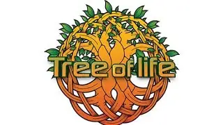 TREE OF LIFE FEST.IZMIR 2014 ( U-RECKEN Live Act. ) HD