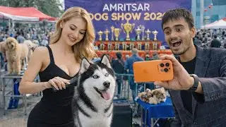 Seeing beautiful RUSSIAN and hers dog #pets #vlogs #vlogger #petlovers #viral #viralvideo #new 