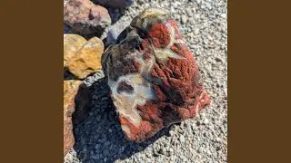 Rockhound's Delight