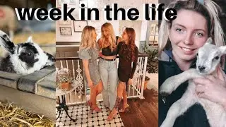 WEEK IN THE LIFE OF A VET NURSE | lambing, horse riding and bottomless brunch
