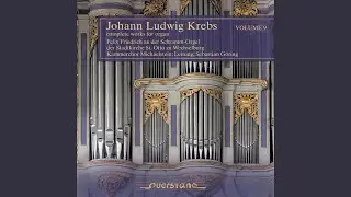 Sonatina Seconda D-Dur: Allegro - Andante - Vivace