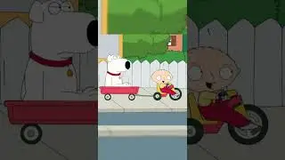 subscriber count 0/1000 #fyp #stewieandbrian #stewie #Brian #bush #cleveland #familyguy #like