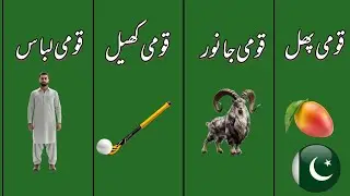 Pakistan Ki Qaumi Cheezain 🇵🇰 | Har Pakistani Ko Yeh Zaroor Maloom Hona Chahiye!