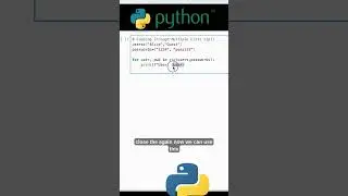 Python Essentials for Beginners: The Only Guide You Need