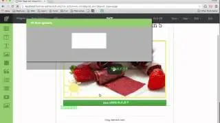 All In One WP Builder