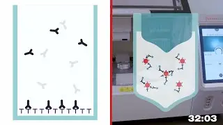 Plate-Based ELISA vs Invitrogen Dynabeads- Based ELISA