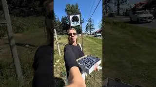 В КАНАДЕ🇨🇦МОЖНО ЕСТЬ ЯГОДЫ БЕСПЛАТНО?! Что такое U-Pick 🍓&raquo;#Канада #UPick #LifeInCanada #canada
