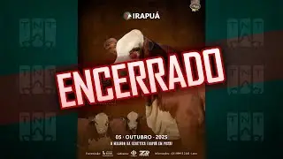 05/10 - Leil&atilde;o Heritage Faz. Irapu&aacute; | 15h