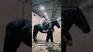 🔥👍🏻Ot ishqivozlari uchun 🐎🐎🐎 #ott #mustang #uzbekistan #toshkent #like