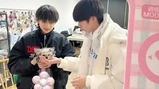 【 VIETSUB / FMV 】  【 NHIẾP VĨ THẦN - TRẦN TƯ HÀN 】 “Cây non nhỏ bé được chăm sóc chu đáo”