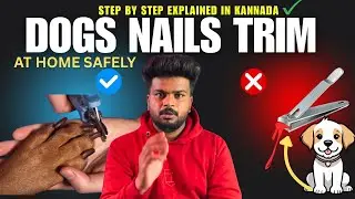 HOW TO TRIM DOG NAILS SAFELY AT HOME🏠| DIY | STEP BY STEP GUIDE✅ | @Yuva.prapancha