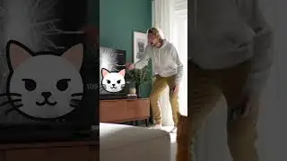When Cats Attack TVs: Hilarious Dog vs. Cat Showdown!  #FunnyPets #CatVsDog #PetFails #ViralVideo