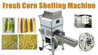 Automatic Fresh Corn Shelling Machine | Boost Your Farm's Productivity #corn #maize #thresher