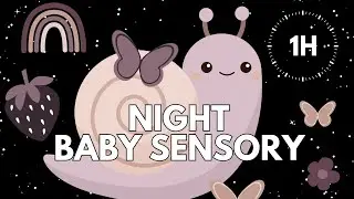 Night Routine Baby Sensory 🫐🌙 | Garden At Night | Calm Sleep Music | Low Stimulation | 1 Hour