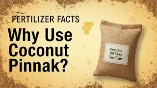 Coconut Oil Cake: The Secret Fertilizer That Boosts Your Plants & Saves Your Soil