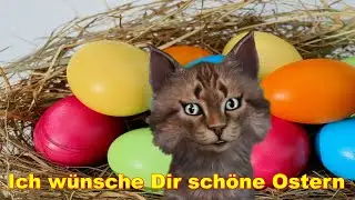 🐰💓 Ein Video nur f&uuml;r Dich 🐰💓 Frohe Ostern w&uuml;nsche ich - Osterhase Osterfest Ostereier Osterfest 🐰💓