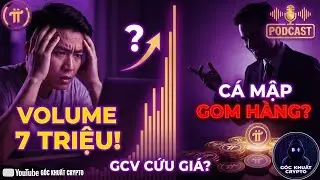 PODCAST:🚨 PI NETWORK 7 TRIỆU GIAO DỊCH/NG&Agrave;Y: C&aacute; Mập Gom H&agrave;ng Hay Dấu Hiệu Sập?