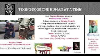 Healing Reactive Dogs, One Human at a time