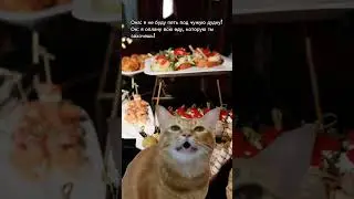 Еда от PICNIC CATERING, ради которой можно пойти на многое 🤤