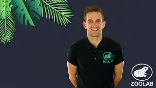 ZooLab Corporate