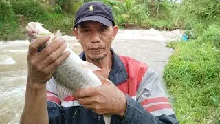 Detik detik mahseer babon landing