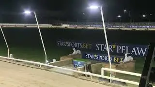 Star Pelaw Trials 15/01/26