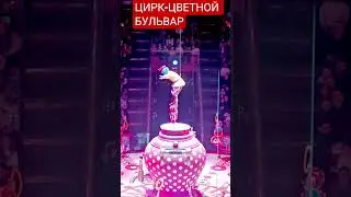 Цирк цветной бульвар ,цирк Никулина ,эквилибр на катушках ,Фокусник,цирк, фокус, жонгле́р, ловкость