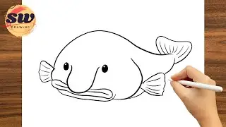 How to Draw Blobfish