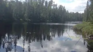 View - Jester Lake - Hairy Lake PMA in the BWCA