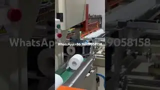 Automatic Maxi Roll Band Saw Cutting Machine