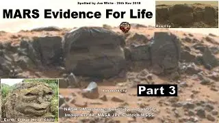 MARS - Evidence For Life (Part 3) ArtAlienTV