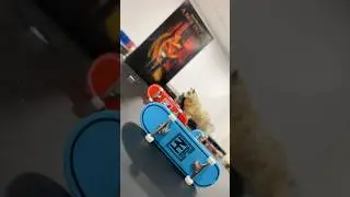 HN Premium Fingerboards - Fakie Inward Heel Switch Tailslide! Chrome Grip Series! (2026)