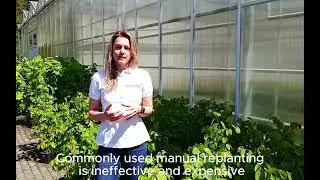 TREEADS Project | UAV Reforestation  - Acceligence & LAMMC