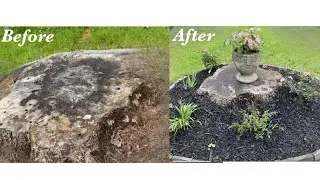 Landscaping on tree stump #diy #spring