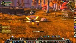 The Eyes of Ashenvale - World of Warcraft Quest