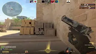 newt | CS2 HIGHLIGHTS