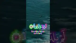 surah ikhlaas #islamic Harmony #daily #videoshort #foryou #tilwatquran